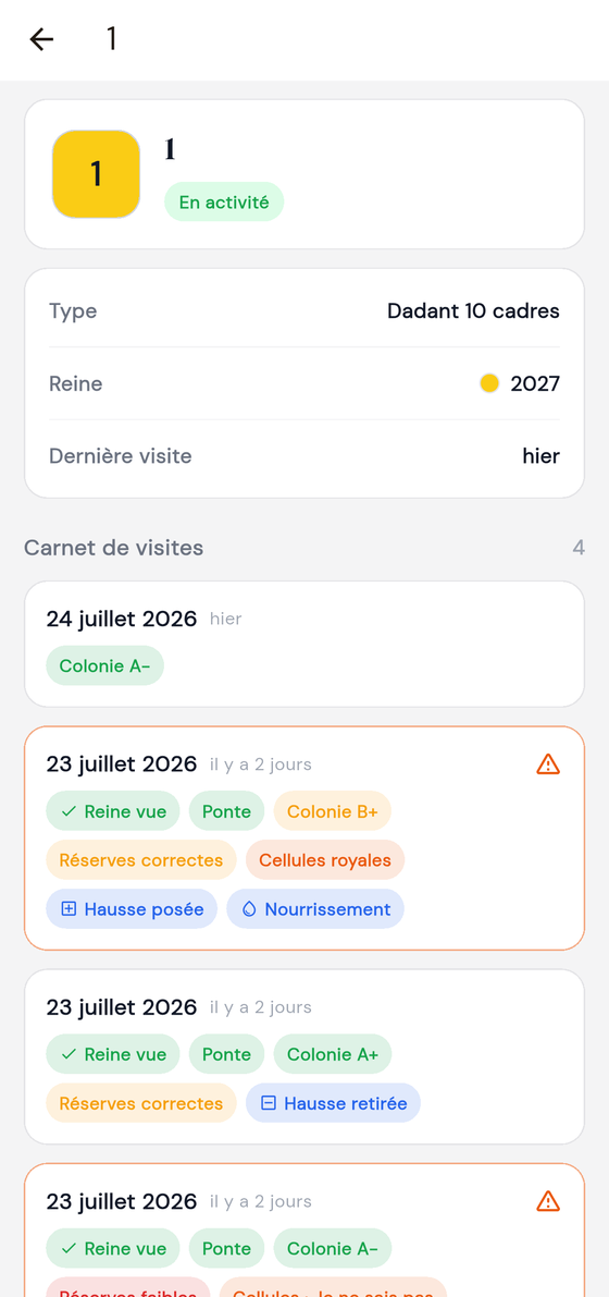 Fiche d'une ruche : type, millésime de la reine, dernière visite, et le carnet de visites en dessous.